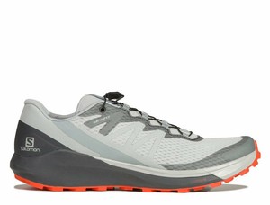 Mejor Precio Zapatillas Salomon Sense Ride 4 Comprar