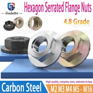 M2 M3 M4 M5 M6 M8 M10 M16 Carbon Steel Hexagon Serrated Flange Nuts For Screw - Picture 1 of 23