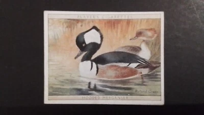 J. PLAYER. 1928,  NO 10.  GAME BIRDS AND WILD FOWL. HOODED  MERGANSER. - Image 1 of 2