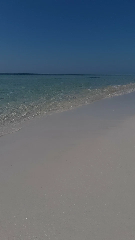 HP 15.6 HD 2020 pantalla LED Pentium Gold 6405U 4 GB DDR4 RAM 500 GB HDD WINDOWS 10 Foto 1 de 1