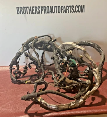 Arnés de cables para motor diésel Ford F250 F350 Super Duty Excursion 2004 6,0 L OEM Foto 1 de 4