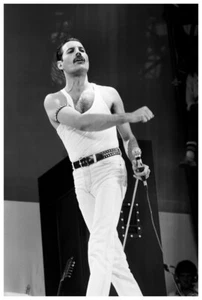 Freddy Mercury Poster 24x36 Inch Photo Rare Wall Art Print - Live Aid 2 - Picture 1 of 6