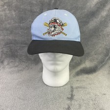 Erie Seawolves Baseball Hat Cap Adult Blue Black Snap Back Fantastic MILB