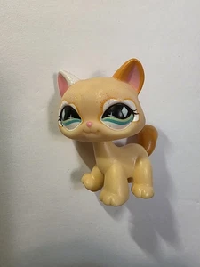 LPS #626 LITTLEST PETSHOP ORIGINAL CHAT KATZE AUTHENTISCH MAINE COON HASBRO - Bild 1 von 3