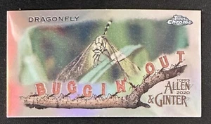 2020 Topps Allen Ginter Chrom Mini Buggin Out DRAGON FLY #MBOC19 - Bild 1 von 2