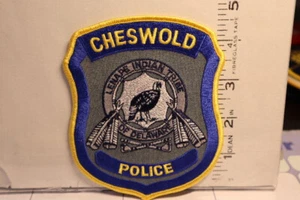 parche policía CHESWOLD POLICÍA DELAWARE - Imagen 1 de 1