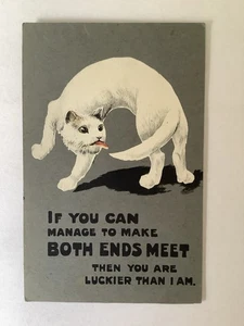 Cat Comic Humour Manage to make both ends meet pc BA506 - Picture 1 of 2