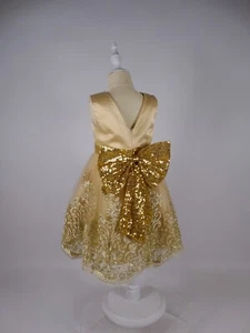 Dolls & Cars - Jasmine Dress - special occasion dress, toddler, girls, birthday - Picture 1 of 7
