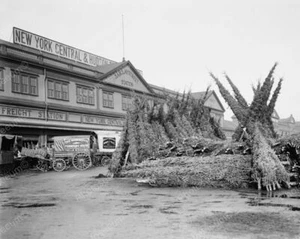 Christmas Tree Sales NY 1903 Vintage 8x10 Reimpresión De Foto Antigua - Imagen 1 de 1