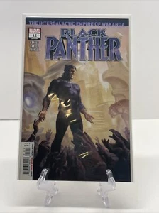 BLACK PANTHER #12 (2018 SERIES) - Picture 1 of 11