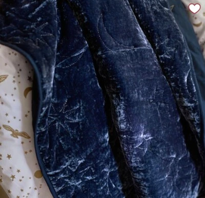 POTTERY BARN x HARRY POTTER Magical Velvet - TWIN Size Quilt Blanket - Blue - Image 1 of 4