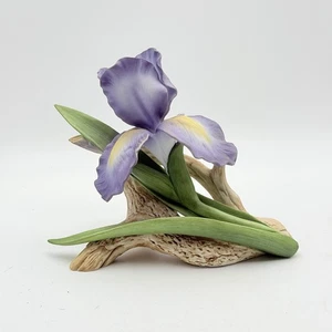 Andrea von Sadek Purple Mere Iris Blume Porzellan Figur Vintage 1984 Blume - Bild 1 von 7