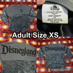 Disneyland Resort Spirit Jersey Gris Mickey Mouse Terciopelo Sudadera Adulto XS - Imagen 1 de 9