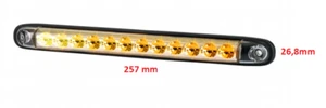 LED dynamischer Blinker Blinklicht 12V 24V f. LKW PKW Anhänger Trailer Wohnwagen - Zdjęcie 1 z 4