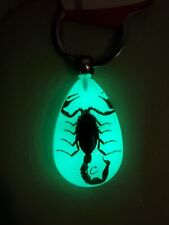 BLACK SCORPION Keychain SHIPS FAST Glow In Dark Real Insect Key Chain Keyring