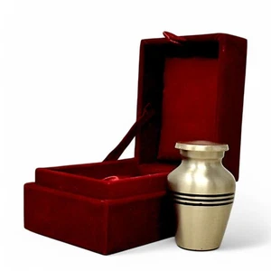 Mini Silver Keepsake Cremation Urn for Human or Pet Ashes with Velvet Case - Picture 1 of 8