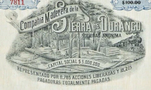 MEXICO I/1a 🇲🇽COMPAÑÍA MADERERA DE LA SIERRA DE DURANGO, acción de $100 1911 - Picture 1 of 2