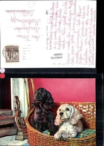 426009,Hunde i. Körbchen v. Kamin - Picture 1 of 1