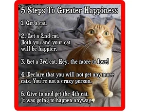 Lustige Katze zum Glück Kühlschrank / Werkzeugkiste / Aktenschrank Magnet - Bild 1 von 1