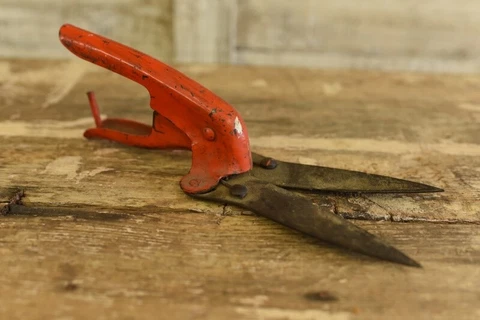 Old Vintage Garden Tool Metal Shears Farmhouse Rusted Orange Cover