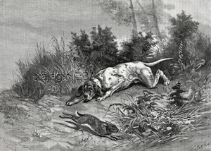 Puntero de perro versus conejo en escena de caza, impresión antigua grande de la década de 1880 - Imagen 1 de 3