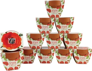 Seeds Terracotta Mini Grow Pots | Herb, Plant, Flower Starter Kit for Kids & Adu - Picture 1 of 12