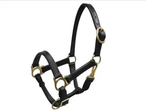 Halter de cuero marrón accesorios de latón y pestillo de garganta MINIATURA MINI caballo - Imagen 1 de 1