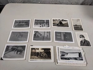 Lote de fotografías vintage en blanco y negro personas lugares animales - Imagen 1 de 2