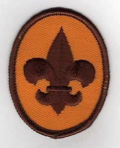 PARCHE OFICIAL DE RANGO DE EXPLORADOR BSA Tenderfoot - Boy Cub Scouts DE COLECCIÓN Respaldo Amarillo - Imagen 1 de 1