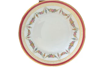 Limoges Floral Dinner 9.75” Plate Bailey Banks Biddle Philadelphia J. Pouyat - Picture 1 of 9