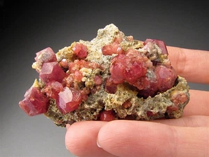 Red Garnet, Sierra de Cruces, Coahuila, Mexico - Picture 1 of 5