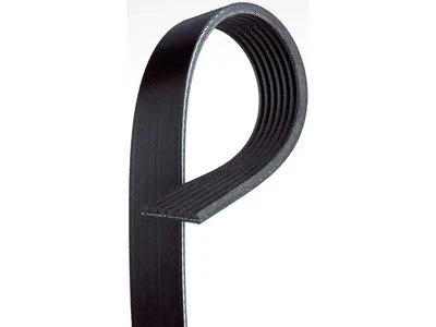 适用于 2007 - 2010 庞蒂亚克 G5 多罗纹皮带 AC Delco 39947SSRV — 第 1/2 张图片