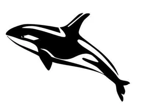 ORCA Whale Tilikum Vinile Decalcomania Auto Adesivo Finestra Da Parete SCEGLI TAGLIA COLORE - Foto 1 di 2