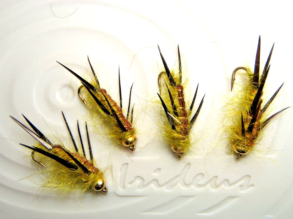 Irideus trout stonefly Chico Butte Creek Golden Stone Fly Fishing Fly Steelhead