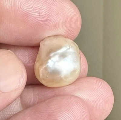 A Superb 18.31ct Natural Pearl & GIA Certificate - Image 1 of 4