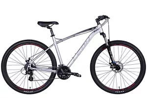 Mountainbike Hardtail MTB 29" Aluminium Scheibenbremse Silber RH 51 cm Fahrrad - Bild 1 von 3