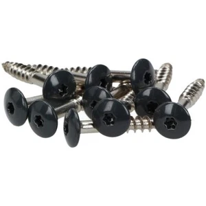 100x MEISTERLING FASSADENSCHRAUBEN INOX V4A 5,5 x 55 MM FLACHKOPF TORX ANTHRAZIT - Bild 1 von 5