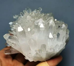 Natural Clear White Chrysanthemum Crystal Himalayan Quartz Cluster/Mineral - Picture 1 of 10