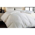 Blue Ridge 18002-1549558217663 White Down Comforters, Extra Warmth, Queen