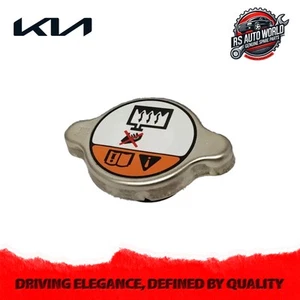 Original Kia Kühlerdeckel Baugruppe Carnival 1.Gen 2022-2025 25330-3K000 - Picture 1 of 6
