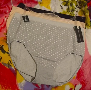 3 NEW LAURA ASHLEY LS7549 3PKE PLUS SIZE MICROFIBER SEAMLESS BRIEF PANTIES 2X - Picture 1 of 2