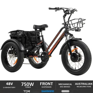 Black Electric Trike Tricycle 3 Wheeler Cycle 48V 750W 18AH Scooter Bike E-Bike - Picture 1 of 14