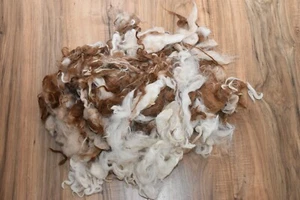 Alpaca Wool Fiber Fleece Spin Felting Browns 2nds 14oz Brassy - Picture 1 of 1