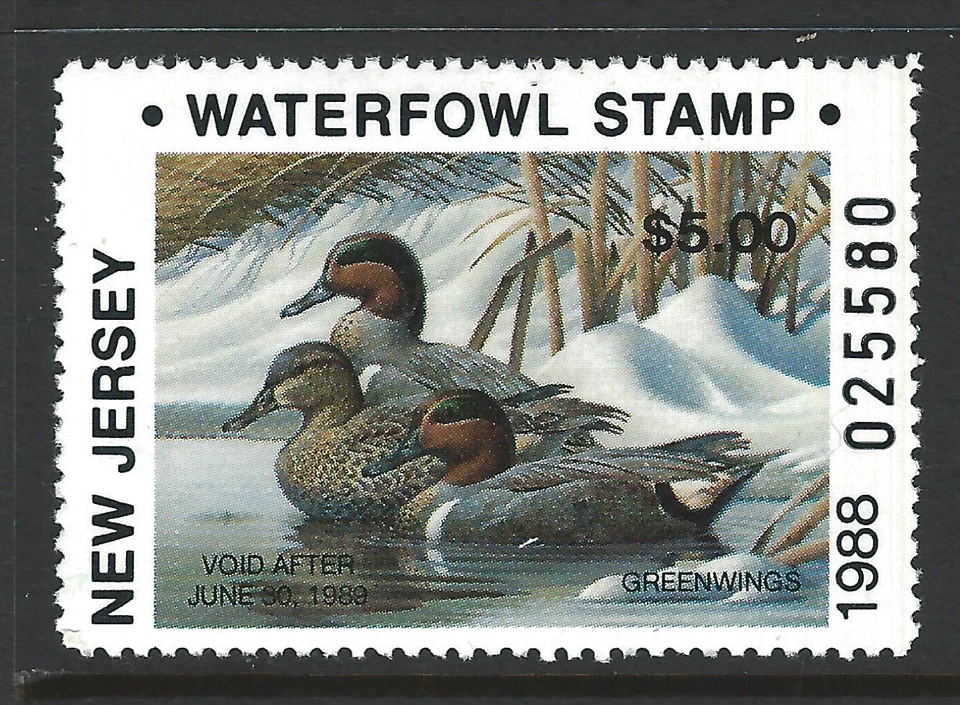 NJ-5A, 1988 New Jersey Duck Stamp, $5.00 Green Wing Teal - Image 1 of 1