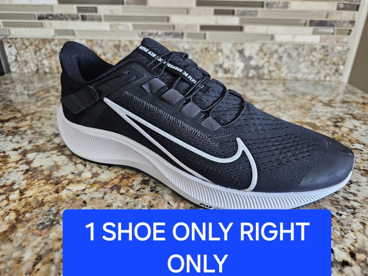 Nike Air Zoom Pegasus 38 FlyEase for Sale | Authenticity