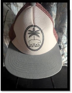 🧢 “Bear Necessi-Tees!” — Old Navy Cap w/ Palm Tree Logo 🐻🌴 - Picture 1 of 10