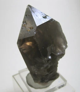 +++ Cuarzo ahumado X parcialmente Esqueleto -- Val Giuv, Grisones, Suiza +++ - Imagen 1 de 8