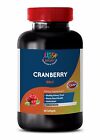 Relieves Urinary Tract Pain - Cranberry Extract 50:1 272mg - Cranberry Fiber 1B