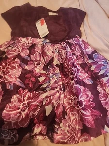 NEW Gymboree Party Dress Size 2t Nwt - Picture 1 of 4