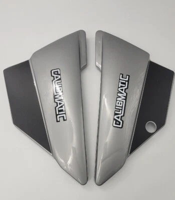 YAMAHA DT 175 CALIBMATIC cubiertas laterales plateadas  Foto 1 de 4